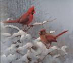 Cardinals